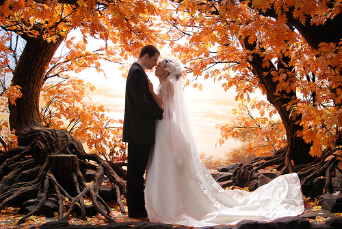 Autumn Weddings